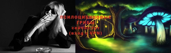 apvp Ладушкин