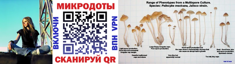 Галлюциногенные грибы мухоморы  Купить закладки  Норильск 