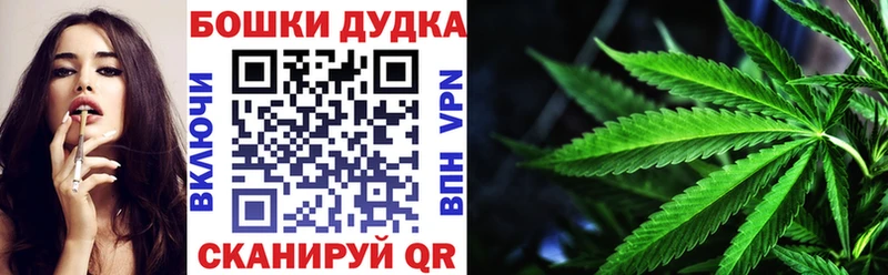 Купить где  Норильск  Бошки марихуана SATIVA & INDICA 